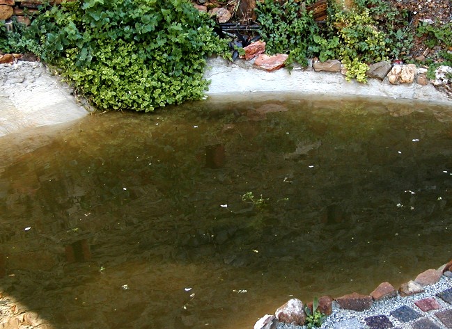 Il Laghetto del Centro di Entomologia - Piombino (LI)